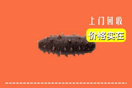 丰镇市回收海参