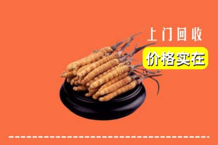 丰镇市回收冬虫夏草